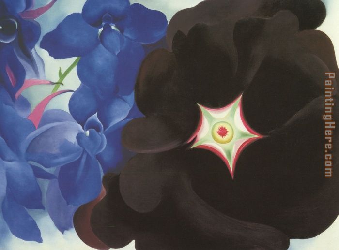 Black Hollyhock Blue Larkspur 1930